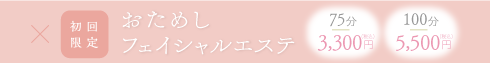 おためしフェイシャルエステ